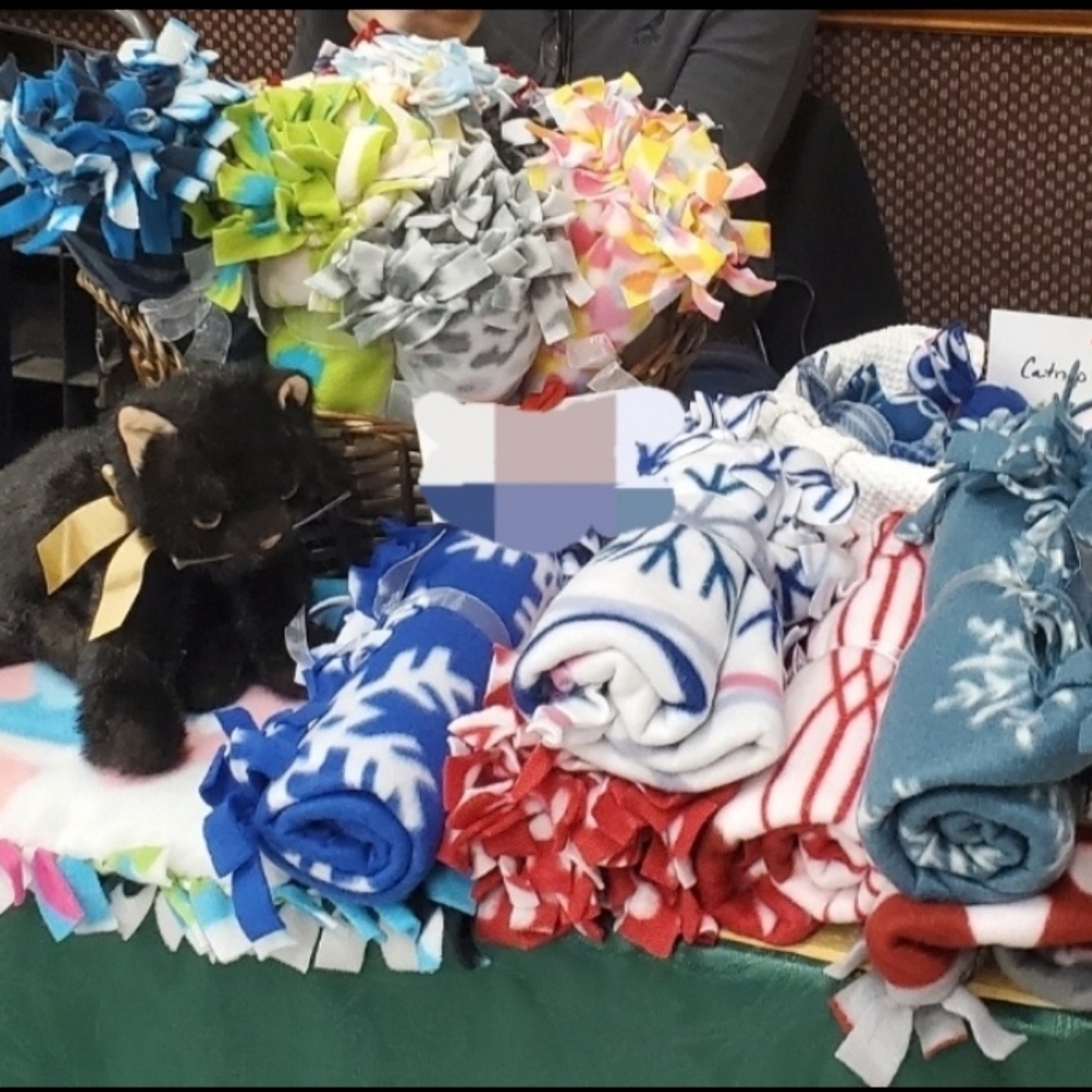 New, 2 Small Pet Blankets, Cat, Dog, Ferret, etc.